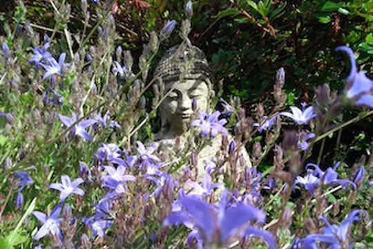 Lunar Eclipse in Capricorn: A Time of Reckoning